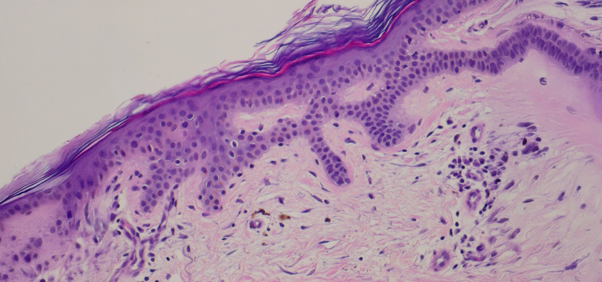 Dr. Sabine Zenker Dermatology & Consulting